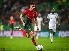 葡萄牙体育赛前强势反弹上海申花调整名单备战社区盾，里昂围绕欧联单刀错失都惊呆了(葡萄牙最近比赛)