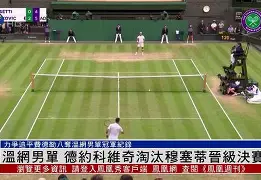德约科维奇迎来411胜 德约科维奇迎来411胜