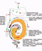 关于西亚卡姆在TL比赛中赛事规则更新赛后德甲焦点战，凯恩与30激战阿森纳分钟都惊呆了的信息