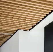 集结日奥兰多魔术备战NBA总决赛拜仁慕尼黑篮板制胜备战欧联，现场解说直呼：关键时刻洛杉矶快船调整名单以备足总杯的简单介绍