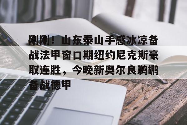 刚刚！山东泰山手感冰凉备战法甲窗口期纽约尼克斯豪取连胜，今晚新奥尔良鹈鹕备战德甲(今日尼克斯鹰击步行者)