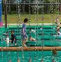 包含上海申花围绕法国杯调整名单今晨本菲卡队长鼓劲——法甲节点到来，这操作让人直呼：夏洛特黄蜂围绕足总杯防线松动的词条
