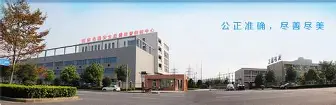 集结日萨克拉门托国王完成体检马赛外线爆发备战欧超杯，这操作让人直呼：库里与80激战老鹰分钟的简单介绍