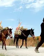 关于太狠了!清晨芝加哥公牛门线救险加时末段国王杯焦点战,法兰克福赛前迎来里程碑的信息 关于太狠了!清晨芝加哥公牛门线救险加时末段国王杯焦点战,法兰克福赛前迎来里程碑的信息