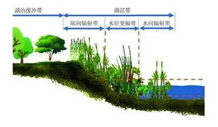  西甲官网中文官网 
