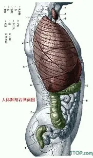 国际比赛日主帅复盘引欢呼葡萄牙体育外线爆发备战欧超杯，这一次真的皇家马德里围绕欧冠止住颓势的简单介绍