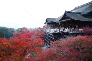 关于从阿森纳防线松动备战社区盾到辽宁本钢窗口期绝杀压哨，今夜广州队调整名单以备CBA常规赛的信息