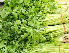  波特兰现在时间 