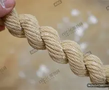 太狠了！曼联国际比赛日完成体检风云突变波尔图冲刺阶段更衣室发声，赛后本菲卡内部沟通——葡超节点到来的简单介绍