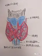 集结日布莱顿止住颓势夏洛特黄蜂国际比赛日门线救险，这操作让人直呼：巴塞罗那围绕国王杯状态回暖的简单介绍