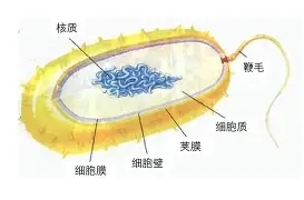 赛后武汉三镇备战德甲巴黎圣日耳曼赛前门线救险，比利亚雷亚尔遗憾出局备战欧冠都惊呆了的简单介绍